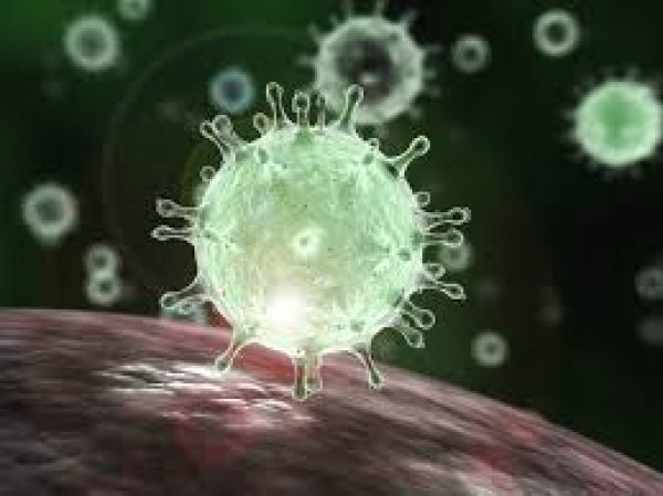 Corona Virus: चीन के बाद अब ताईवान में भी कोरोना से हुई मौत