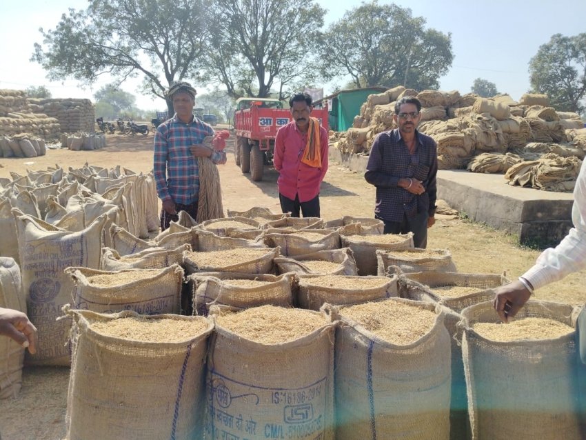 धान खरीदी में नया फर्जीवाड़ा: सिलाई के दौरान निकाला गया 1 से 2 किलो धान, 1.27 करोड़ का सरकार को नुकसान