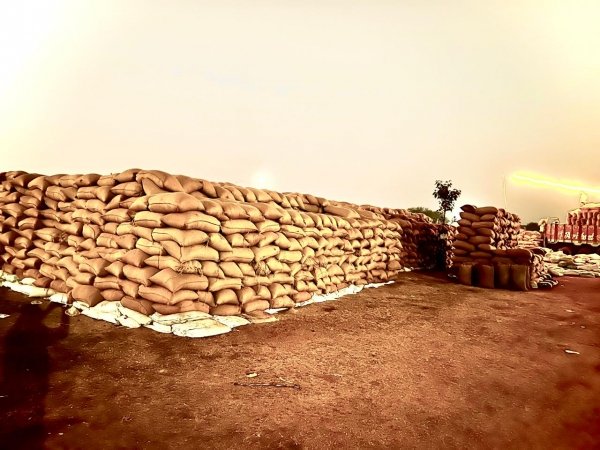 धान खरीदी नहीं, किसानों की खुली लूट &mdash; केसीजी में हर बोरे से 400 ग्राम काटकर अब तक 3.73 करोड़ का खेल