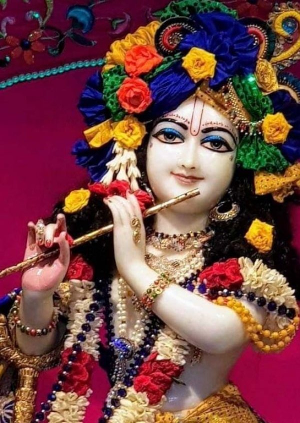 श्री कृष्णा जन्माष्टमी का पर्व आज मंदिरो में सोशल डिस्टन्सिंग के साथ मनाया जाएगा