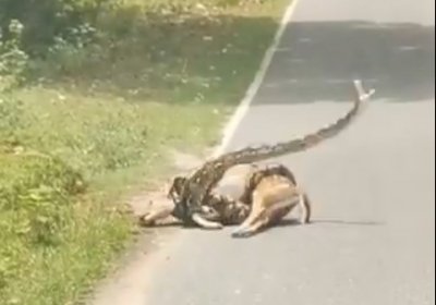 pic credit : social media