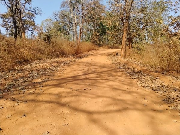 2 साल में पूरी नहीं हो सकी पीएम जन मन की सड़क, गिट्टी काम और मिट्टी ज्यादा 4.85 करोड़ की सड़क की गुणवत्ता पर सवाल