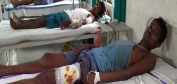 तीन व्यक्ति को देख हड़बड़ा गया भालु, तीनो के ऊपर किया हमला