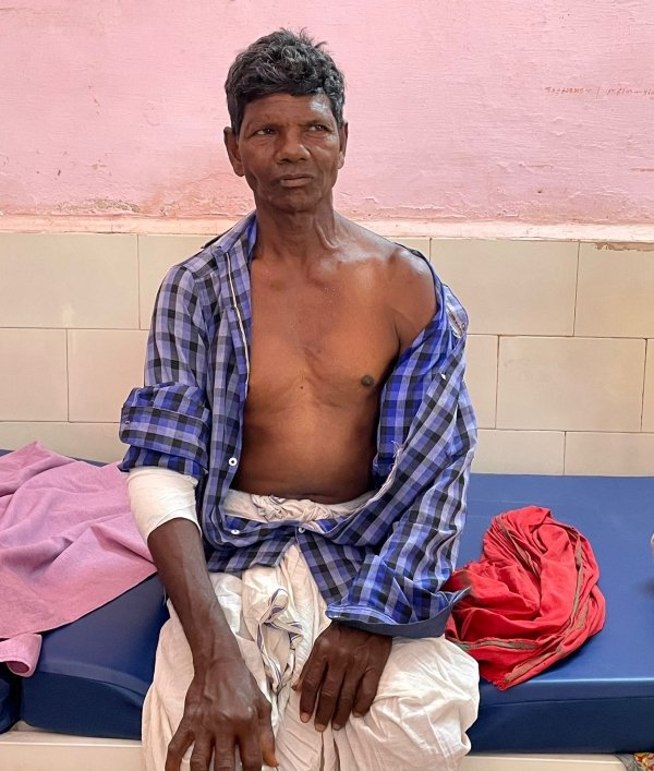 तेंदूपत्ता तोड़ने गए बुजुर्ग पर बाघ ने किया हमला
